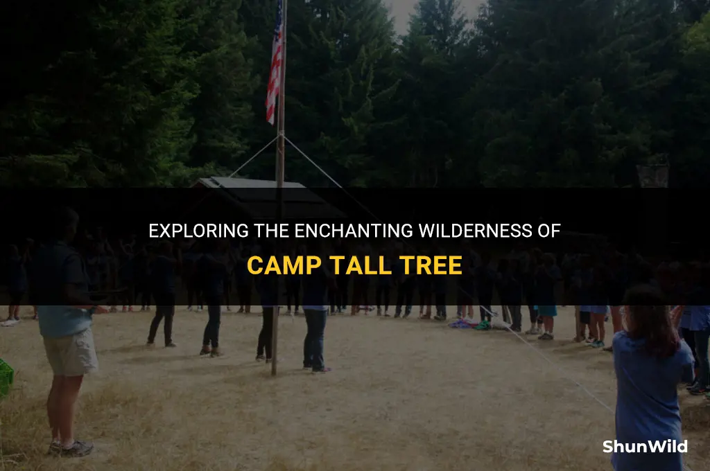 where is camp tall tree