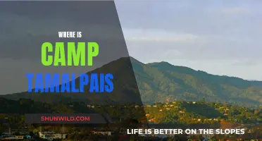 Discovering the Hidden Gem: Camp Tamalpais Unveiled