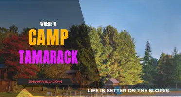 Discovering Camp Tamarack: Your Ultimate Guide to Location and Adventure