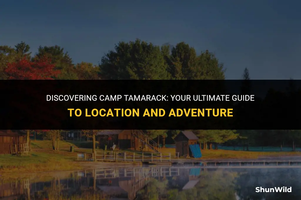 where is camp tamarack