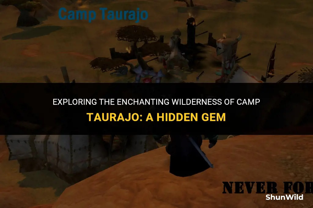 where is camp taurajo