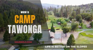 Discovering Camp Tawonga: A Hidden Gem in the Heart of Nature