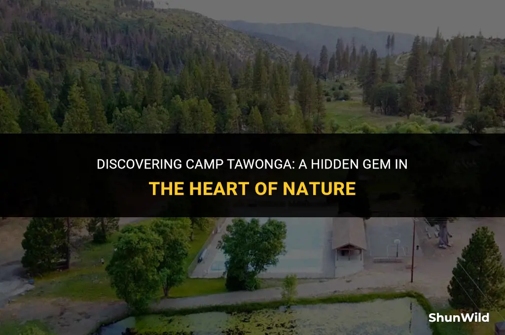 where is camp tawonga