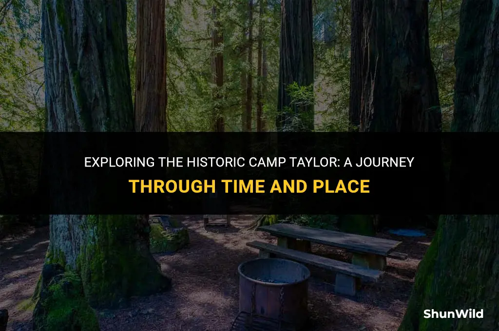 where is camp taylor