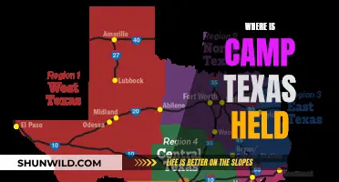 Discovering Camp Texas: Unveiling the Lone Star State's Hidden Gem