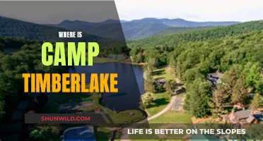 Discovering Camp Timberlake: A Journey to the Heart of Nature