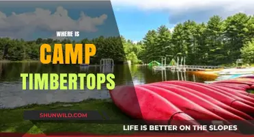 Discovering the Hidden Gem: Camp Timbertops' Secret Location Revealed