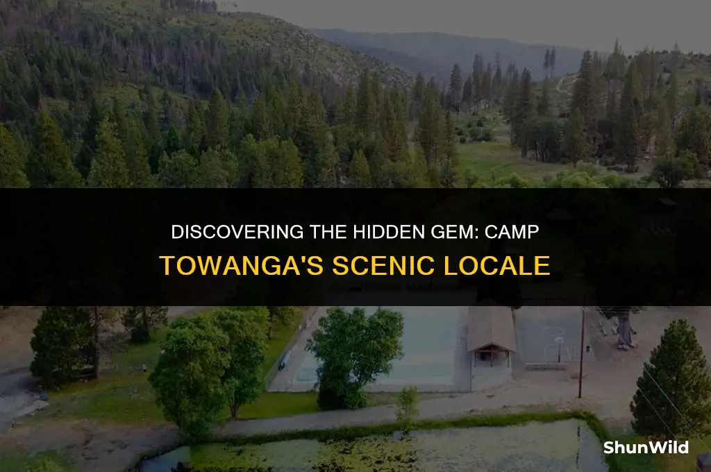 where is camp towanga located