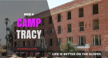 Unveiling the Mystery: Where is Camp Tracy Located?