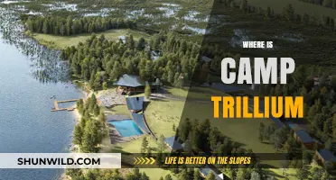 Exploring the Hidden Gem: Camp Trillium's Serene Location Revealed
