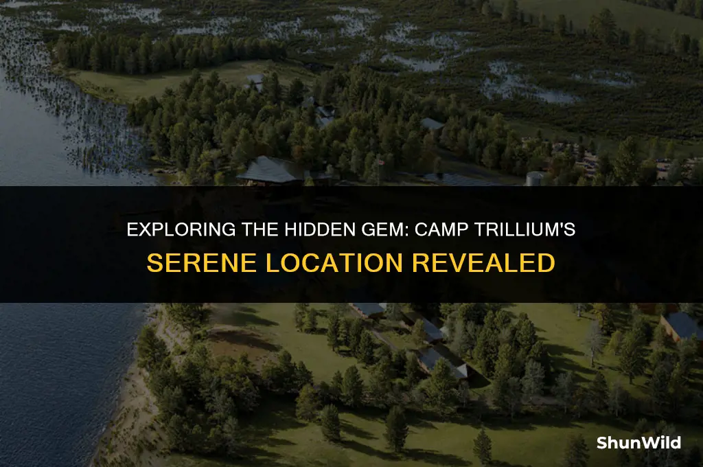 where is camp trillium