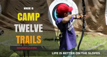 Exploring the Hidden Gems: Camp Twelve Trails Unveiled