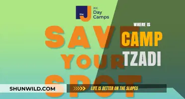 Unveiling the Mystery: The Enigmatic Location of Camp Tzadi