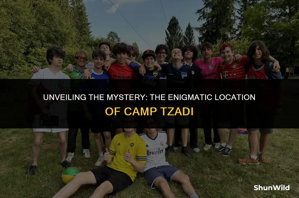 where is camp tzadi