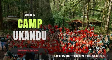 Exploring the Enchanting Wilderness of Camp Ukandu: A Journey Unveiled