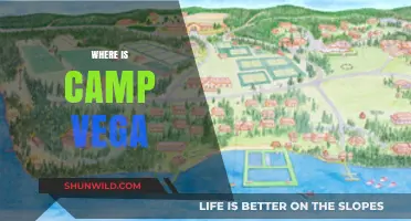 Unveiling the Mystery: Where is Camp Vega Located?
