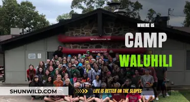 Exploring the Enchanting Wilderness of Camp Waluhili: A Hidden Gem