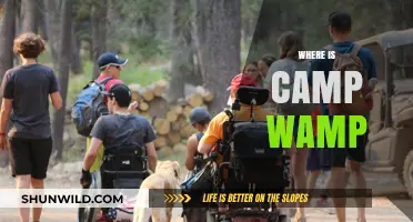 Unveiling the Mystery: Where is Camp Wamp Located?