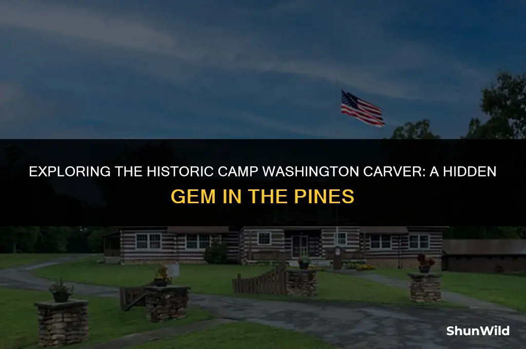 where is camp washington carver