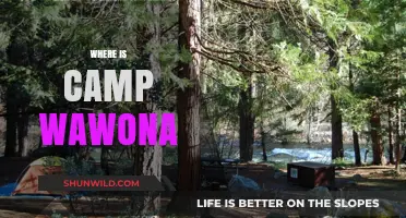 Exploring the Hidden Gem: Camp Wawona's Serene Escape