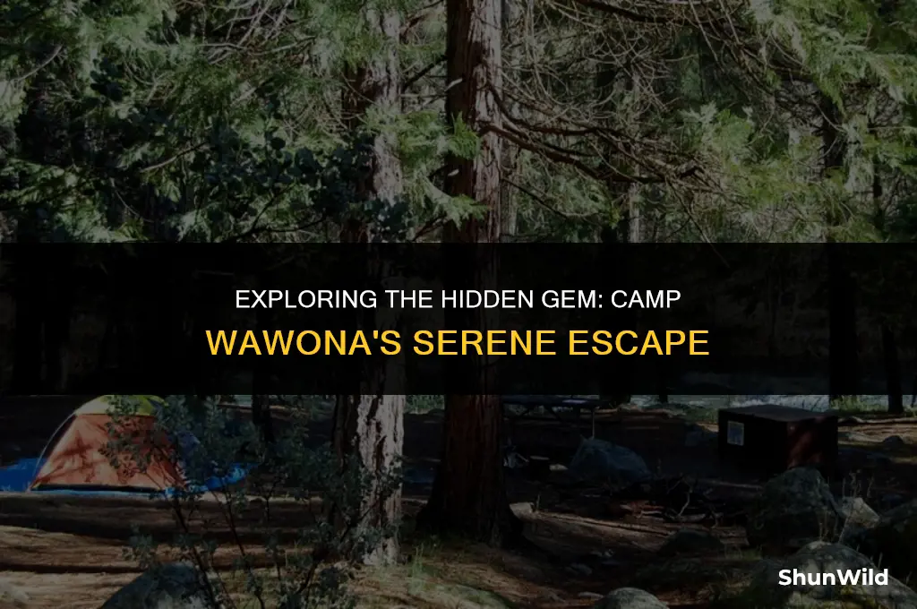 where is camp wawona