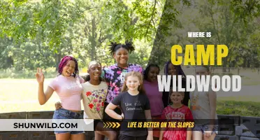 Exploring the Enchanting Wilderness of Camp Wildwood: A Journey Guide