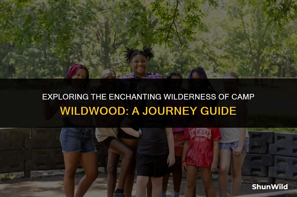 where is camp wildwood