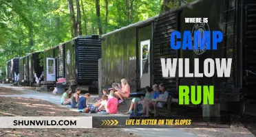 Exploring the Enchanting Wilderness of Camp Willow Run