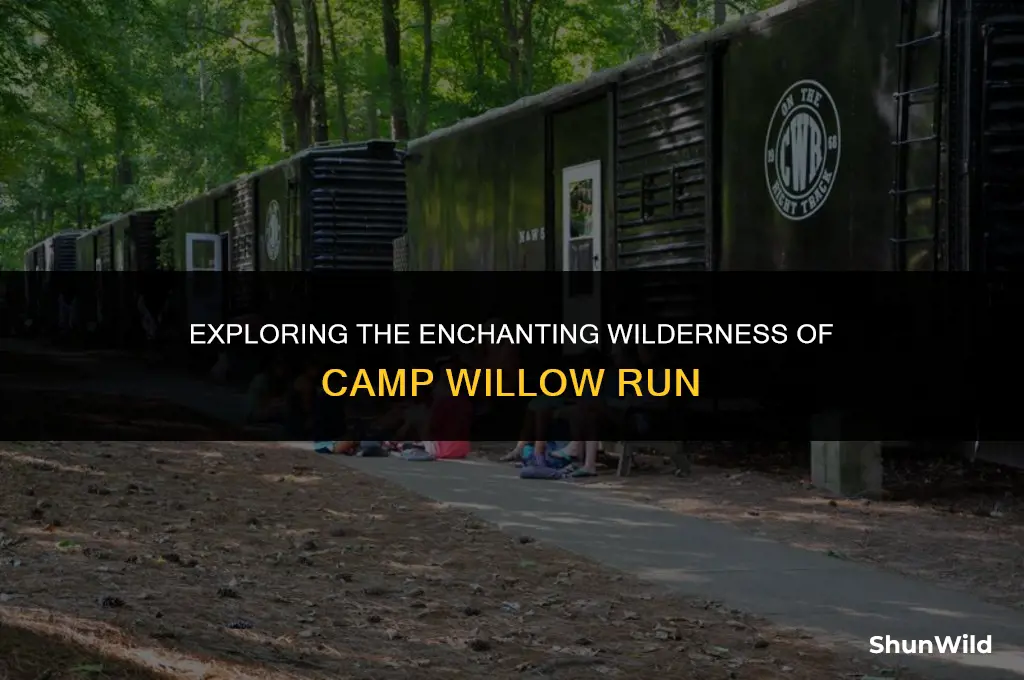 where is camp willow run