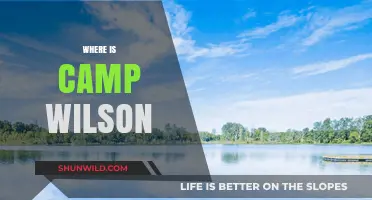 Exploring the Hidden Gem: Camp Wilson's Secret Location Revealed