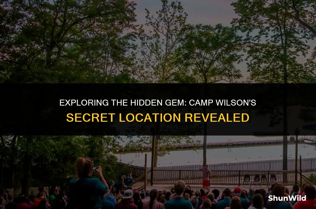 where is camp wilson