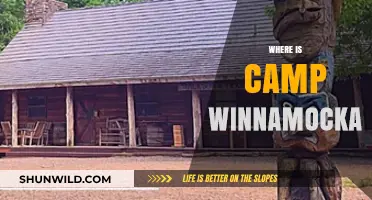Exploring the Enchanting Wilderness of Camp Winnamocka: A Hidden Gem