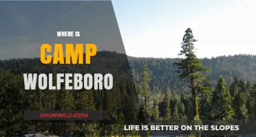 Unveiling the Mystery: Where is Camp Wolfeboro Located?