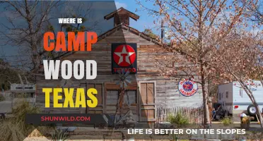 Discovering Camp Wood: A Hidden Gem in Texas Hill Country
