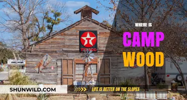 Discovering Camp Wood: Location, History, and Hidden Gems Revealed