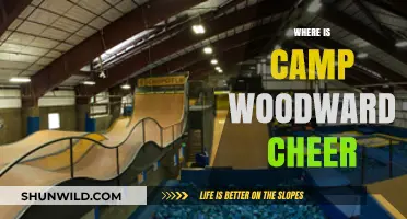 Unveiling the Ultimate Cheer Destination: Camp Woodward's Cheer Program