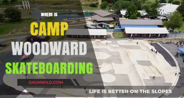 Exploring Camp Woodward: A Skateboarder's Paradise on Earth