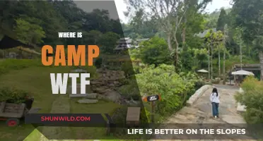 Unveiling the Mystery: Where on Earth is Camp WTF?