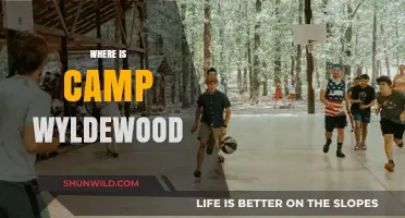 Exploring the Enchanting Wilderness of Camp Wyldewood: Your Ultimate Guide