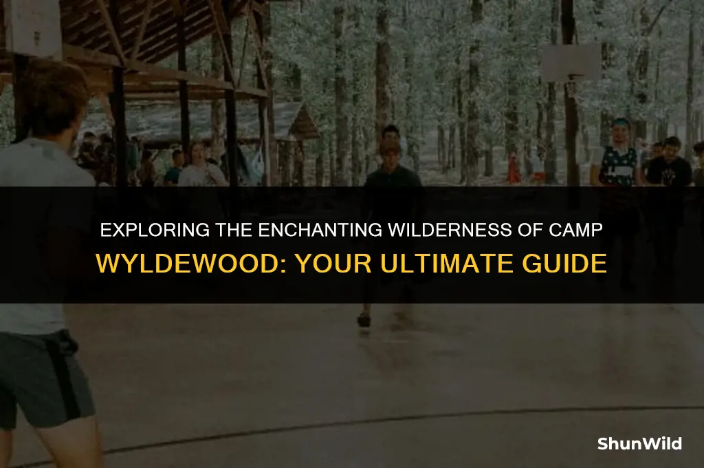 where is camp wyldewood