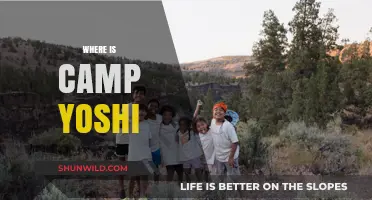 Exploring the Mystery: Where is Camp Yoshi Located?