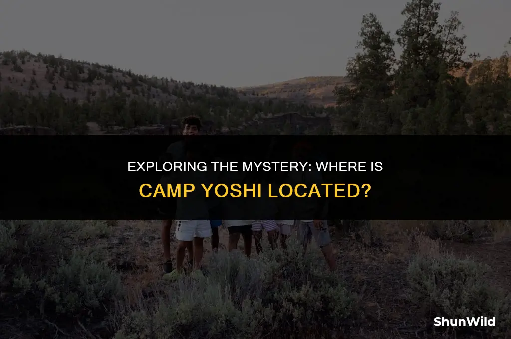 where is camp yoshi