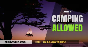 Exploring the Great Outdoors: A Guide to Camping Locations