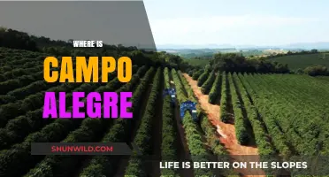 Discovering Campo Alegre: A Hidden Gem in Brazil