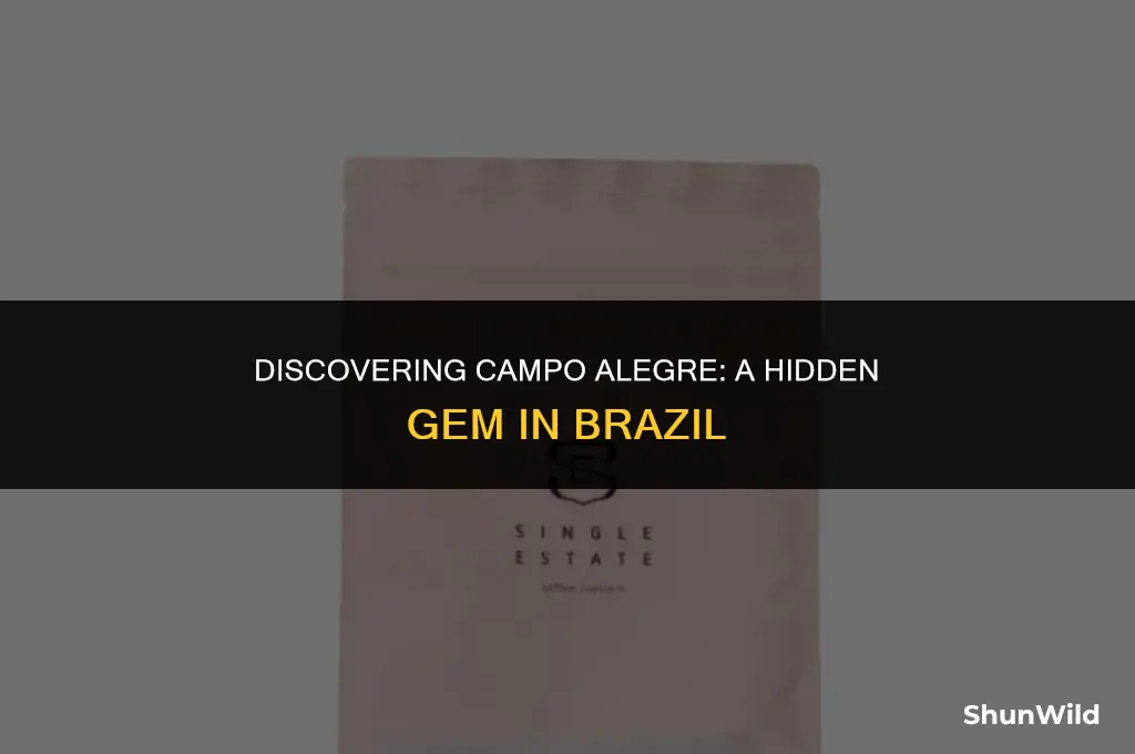 where is campo alegre