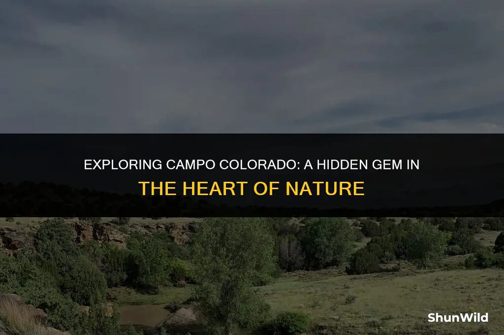 where is campo colorado