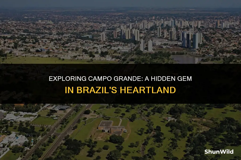 where is campo grande located