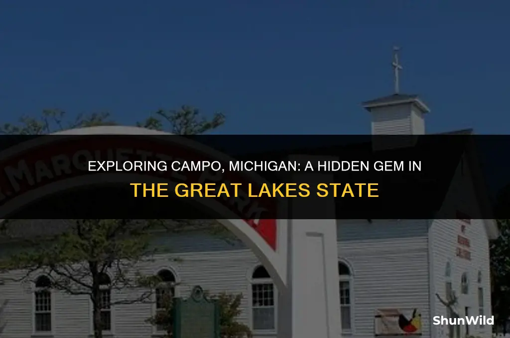 where is campo in michigan