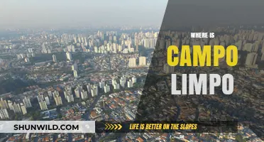 Exploring Campo Limpo: Unveiling the Hidden Gem of São Paulo