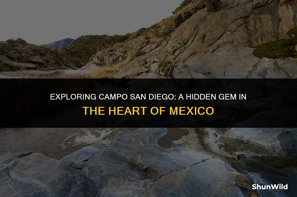 where is campo san diego